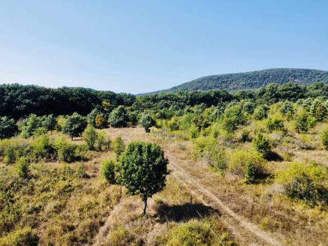 Eladó mezogazdasagi ingatlan, Szentendrén 4.49 M Ft