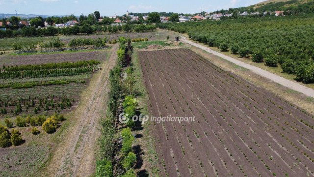 Eladó mezogazdasagi ingatlan, Putnokon 390 M Ft