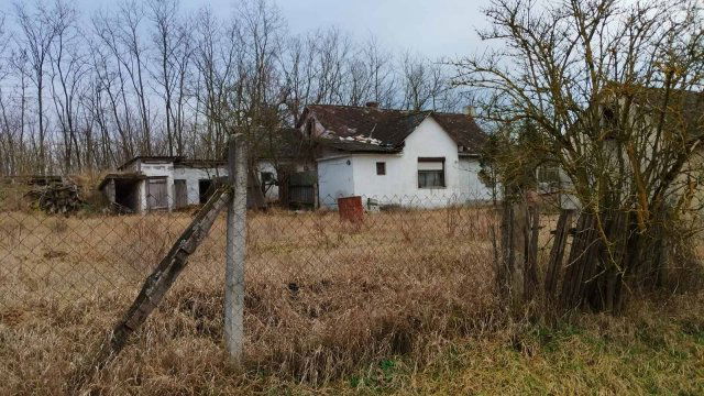 Eladó mezogazdasagi ingatlan, Nyírmártonfalván 29.9 M Ft