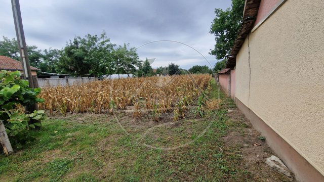 Eladó telek, Kétegyházán 1.5 M Ft / költözzbe.hu