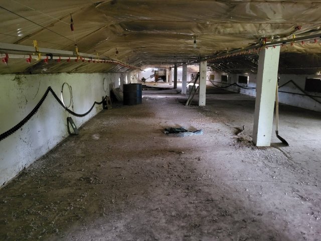 Eladó családi ház, Őrön 44.99 M Ft, 5 szobás