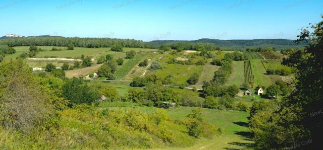 Eladó mezogazdasagi ingatlan, Ravazdon 6.5 M Ft