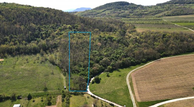 Eladó mezogazdasagi ingatlan, Mindszentkállán 2.4 M Ft