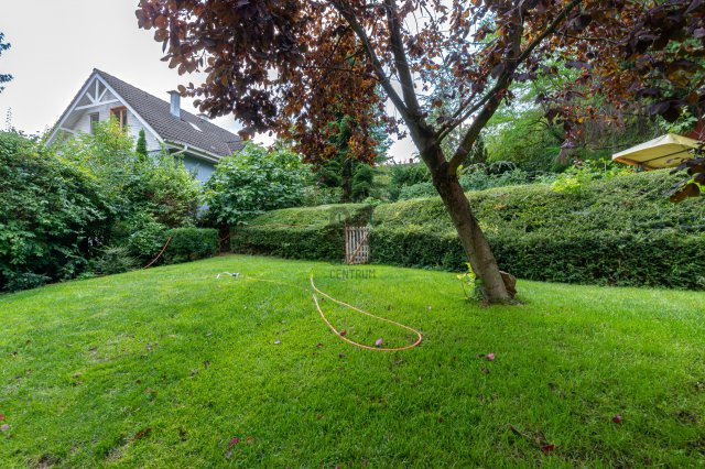 Eladó családi ház, Solymáron 169.9 M Ft, 5 szobás