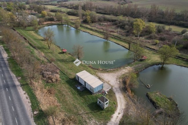 Eladó mezogazdasagi ingatlan, Tokodon 120 M Ft