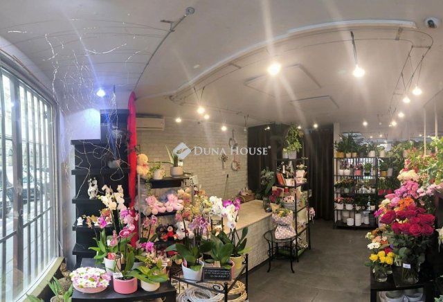 Kiadó üzlethelyiség, Budapesten, V. kerületben 450 E Ft / hó