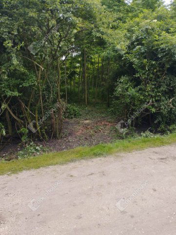 Eladó telek, Tárkányban 2.99 M Ft / költözzbe.hu