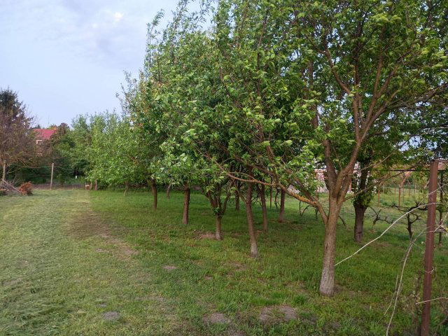 Eladó családi ház, Gyulán 30 M Ft, 2+1 szobás