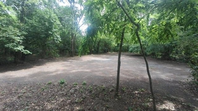 Eladó mezogazdasagi ingatlan, Szászbereken 8.5 M Ft