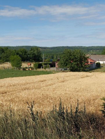 Eladó telek, Tényőn 13.5 M Ft / költözzbe.hu