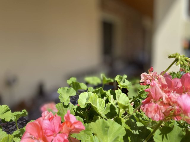 Eladó családi ház, Nagybörzsönyön 79.9 M Ft, 4 szobás