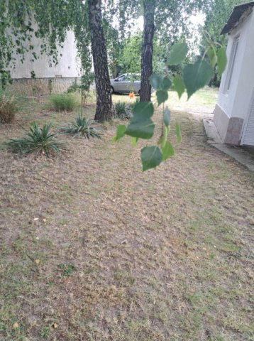 Eladó családi ház, Belegen 11.5 M Ft, 3 szobás