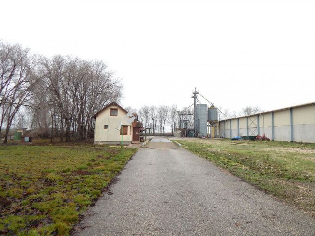 Eladó mezogazdasagi ingatlan, Kálozon 400 M Ft