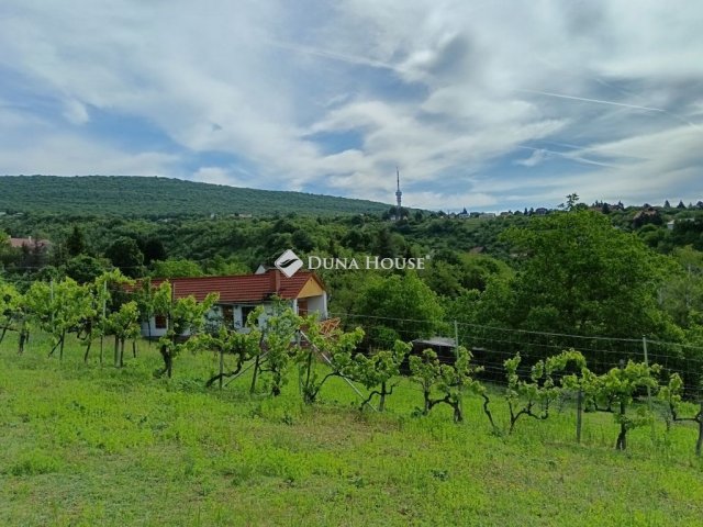 Eladó telek, Pécsett 24.9 M Ft / költözzbe.hu