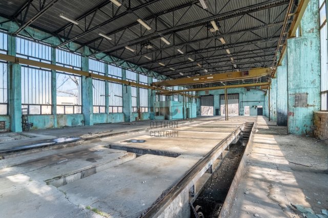 Eladó ipari ingatlan, Bácsszőlősön 75 M Ft