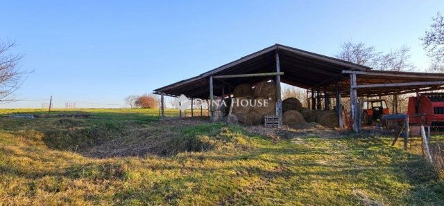 Eladó mezogazdasagi ingatlan, Egerágon 159 M Ft, 5 szobás