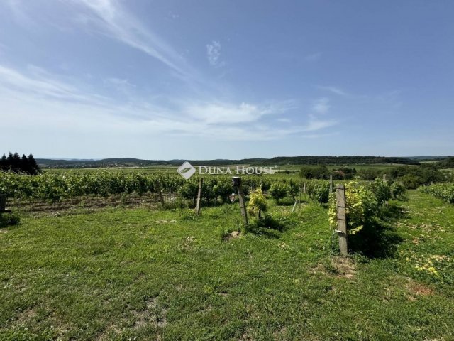 Eladó telek, Balatonszőlősön 47.99 M Ft / költözzbe.hu