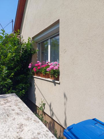 Eladó családi ház, Pilisvörösváron 90 M Ft, 2 szobás
