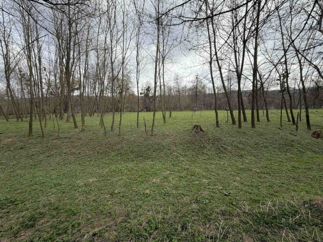 Eladó mezogazdasagi ingatlan, Jásdon 5.3 M Ft