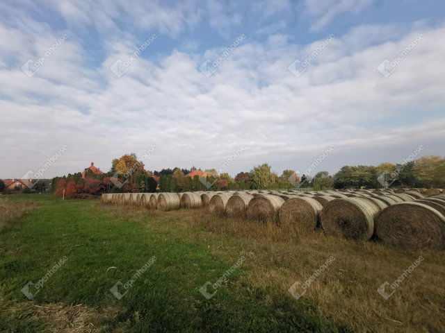 Eladó mezogazdasagi ingatlan, Alsópáhokon 4.8 M Ft