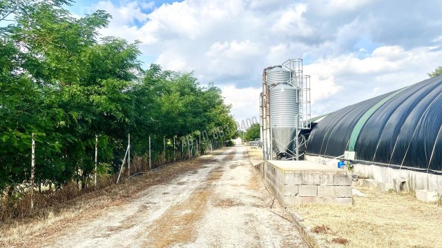 Eladó mezogazdasagi ingatlan, Dabason 150 M Ft