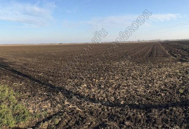 Eladó mezogazdasagi ingatlan, Óföldeákon 3.5 M Ft