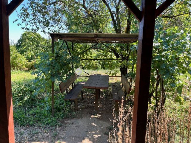 Eladó telek, Pécsett 8.5 M Ft / költözzbe.hu