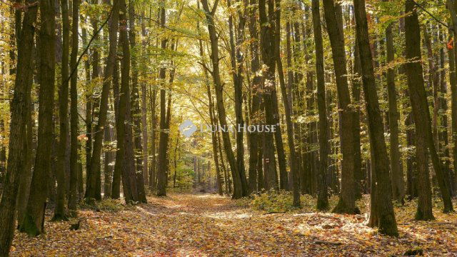 Eladó mezogazdasagi ingatlan, Újlengyelen 25 M Ft