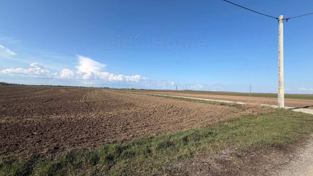 Eladó telek, Balatonszabadiban 25 M Ft / költözzbe.hu