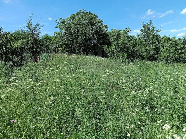 Eladó telek, Écsen 25.5 M Ft / költözzbe.hu