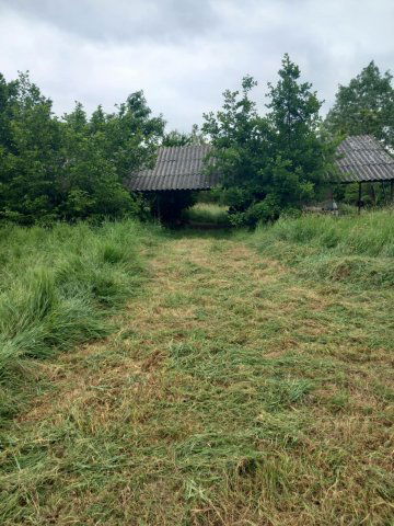 Eladó nyaraló, Békésszentandráson 120 M Ft, 1 szobás
