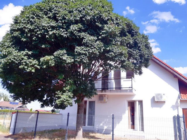 Kiadó téglalakás, albérlet, Bükön 110 E Ft / hó, 1 szobás