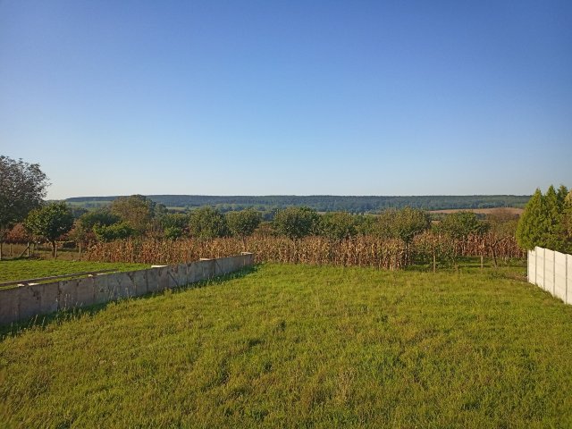 Eladó ikerház, Tarjánpusztán 49 M Ft, 4 szobás