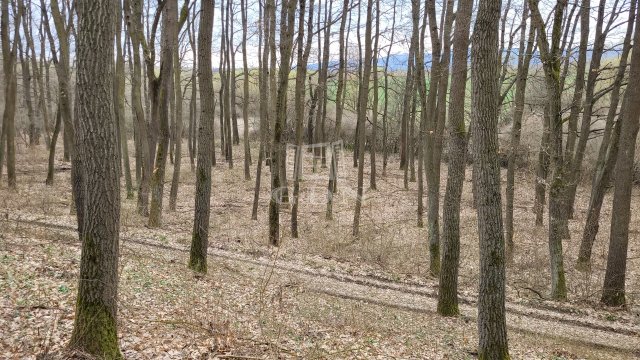 Eladó mezogazdasagi ingatlan, Borsosberényben 5.9 M Ft