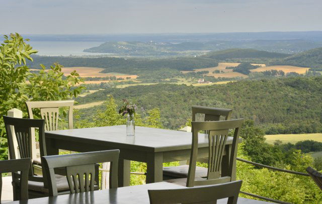 Eladó mezogazdasagi ingatlan, Pécselyen 399 M Ft
