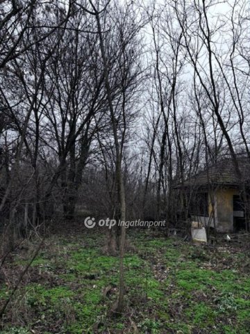 Eladó ipari ingatlan, Monoron 30 M Ft / költözzbe.hu