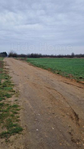 Eladó mezogazdasagi ingatlan, Fertőszéplakon 41.5 M Ft