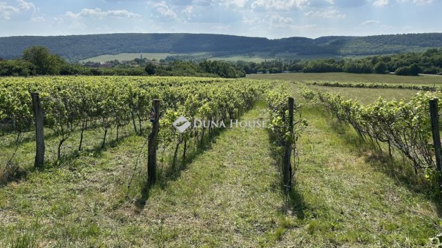 Eladó telek, Szentantalfán 3 M Ft / költözzbe.hu