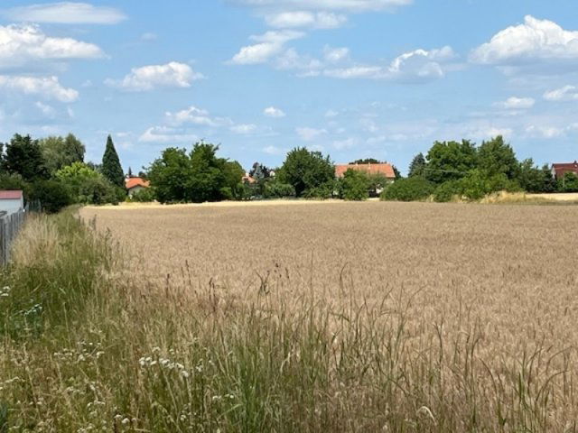 Eladó telek, Mályin 10.7 M Ft / költözzbe.hu