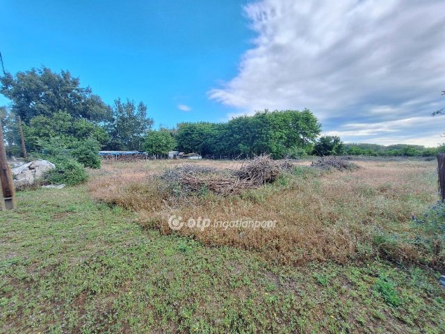 Eladó telek, Tiszakécskén 3.5 M Ft / költözzbe.hu