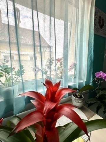 Eladó családi ház, Budapesten, XIX. kerületben 85 M Ft, 4 szobás