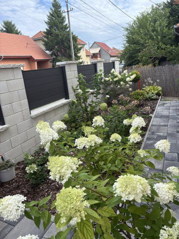 Eladó családi ház, Taksonyon 139 M Ft, 4 szobás