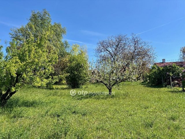 Eladó telek, Pátyon 52 M Ft / költözzbe.hu