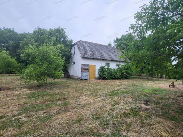 Eladó mezogazdasagi ingatlan, Mándon 21 M Ft