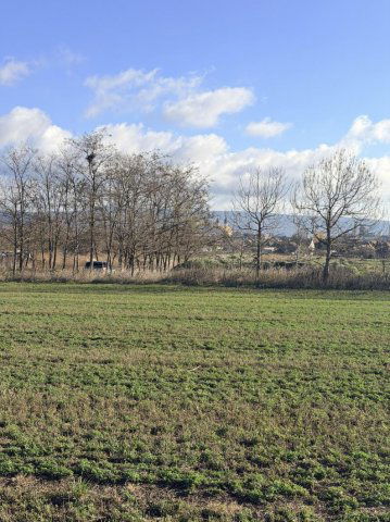 Eladó mezogazdasagi ingatlan, Tatán 20.5 M Ft