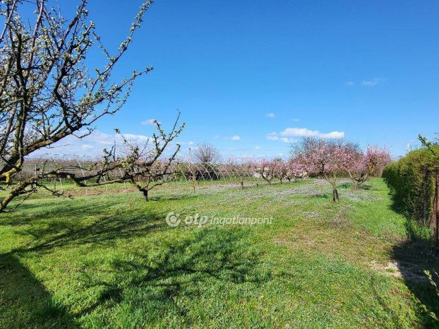 Eladó telek, Siófokon 127 M Ft / költözzbe.hu