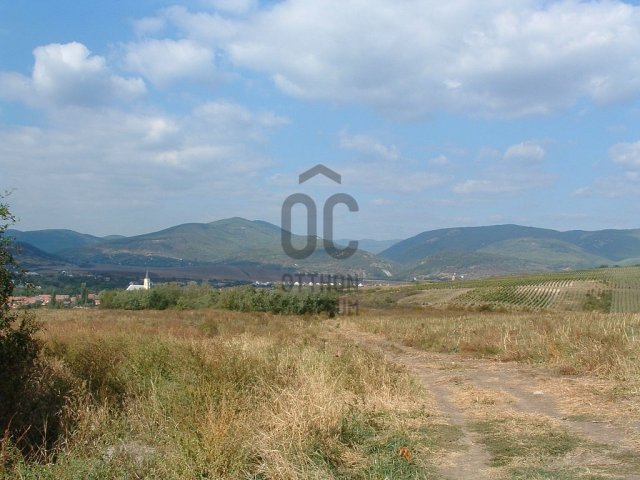 Eladó telek, Bogácson 295 M Ft / költözzbe.hu