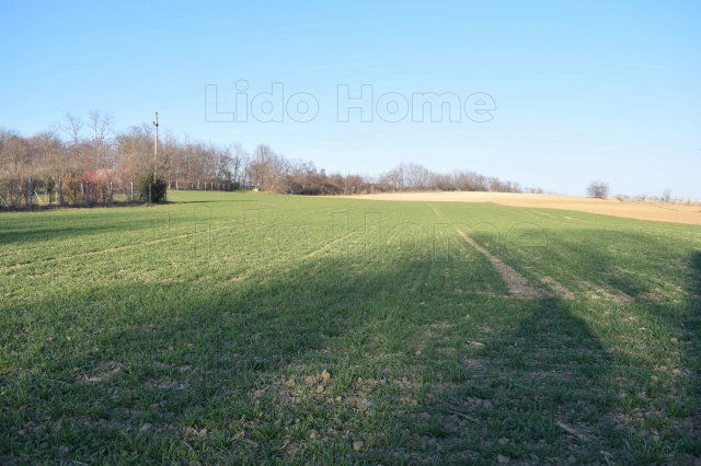 Eladó telek, Pannonhalmán 53 M Ft / költözzbe.hu