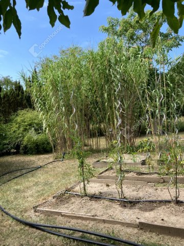 Eladó telek, Bőnyön 9.9 M Ft / költözzbe.hu