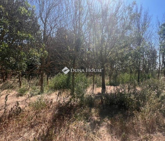 Eladó telek, Martfűn 13 M Ft / költözzbe.hu